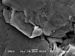 Thermal conductivity Graphene microchipSEM