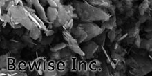 Graphene microchip