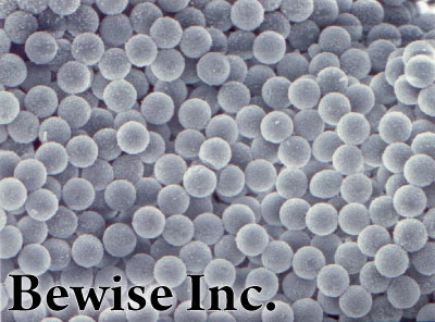 NiCo core-shell particles